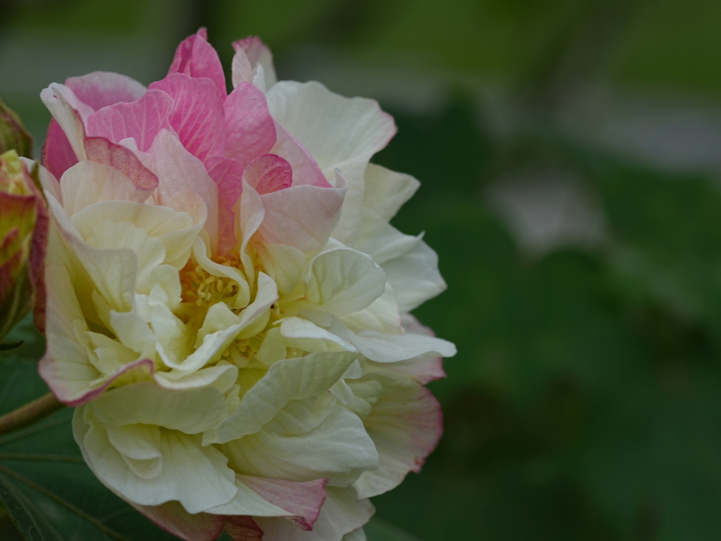 百度网盘 第33页