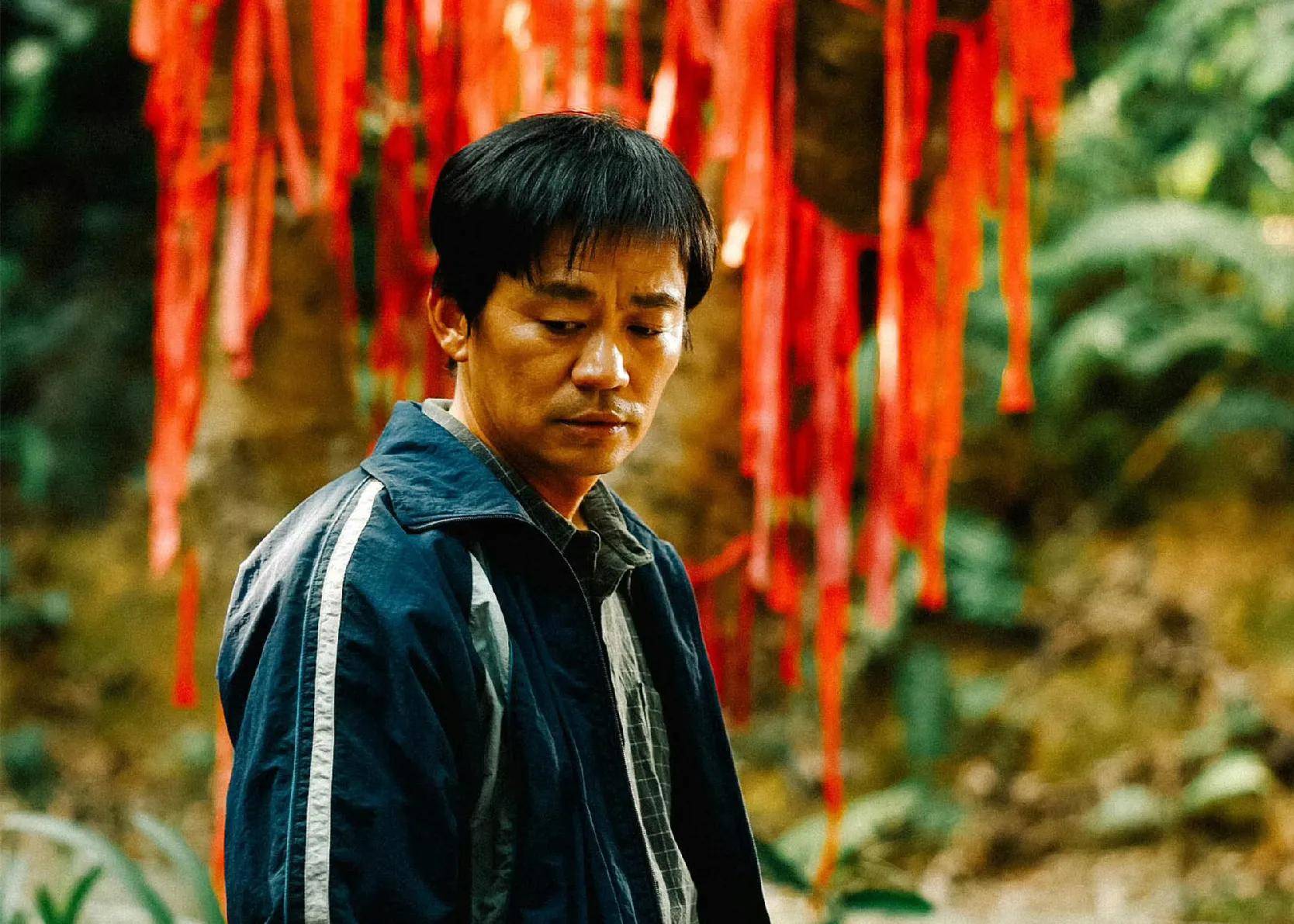 王宝强演过的电影